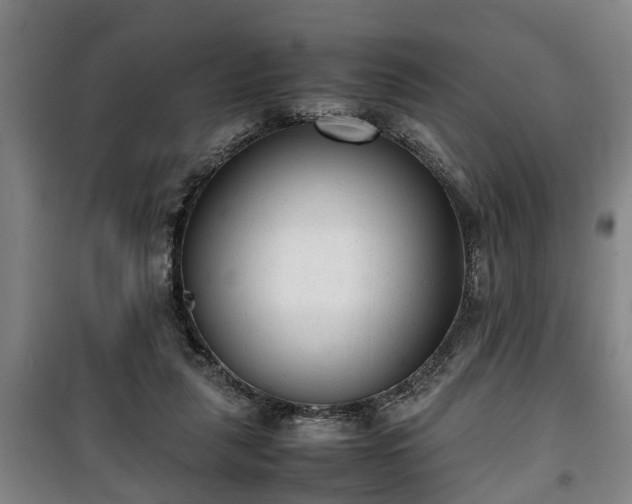 X0000100190259200806061305