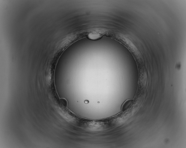 X0000100190261200806061305