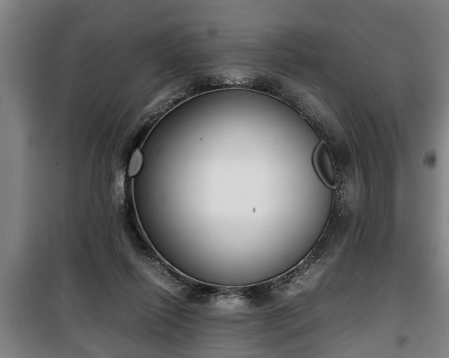 X0000100190262200806061305