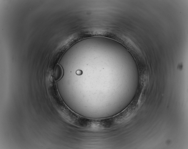 X0000100190264200806061305