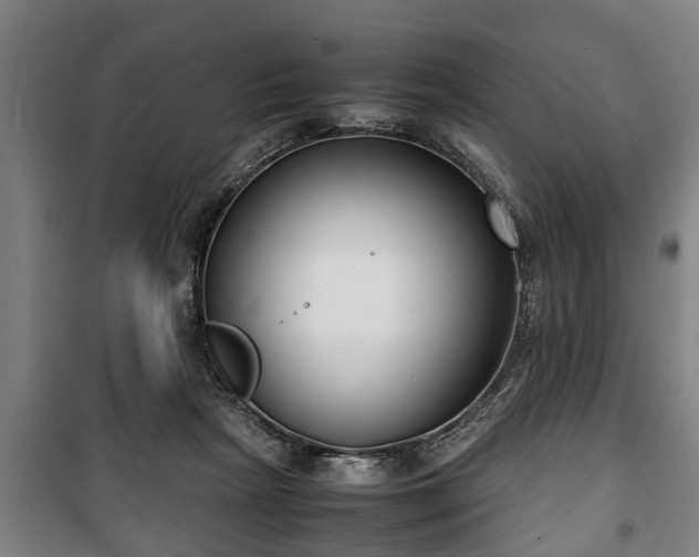 X0000100190265200806061305