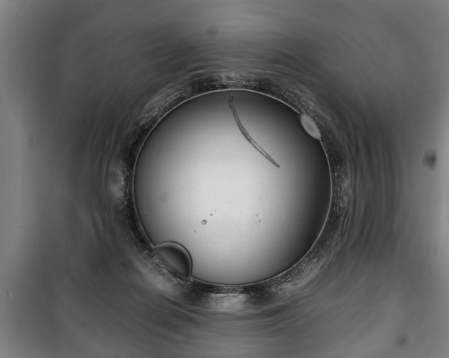 X0000100190266200806061305