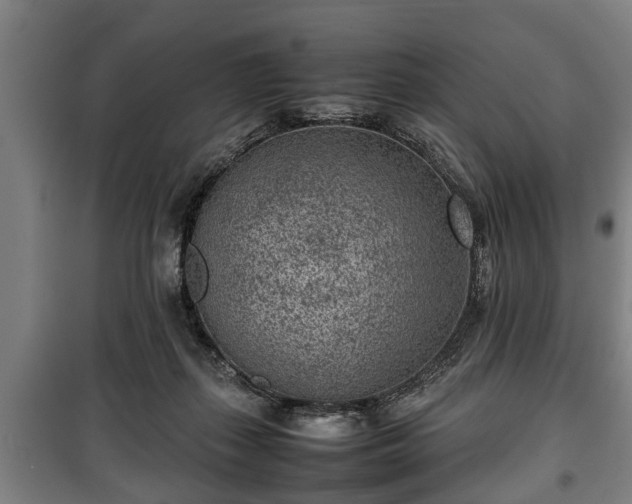 X0000100190267200806061305