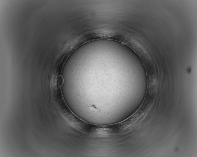 X0000100190268200806061305