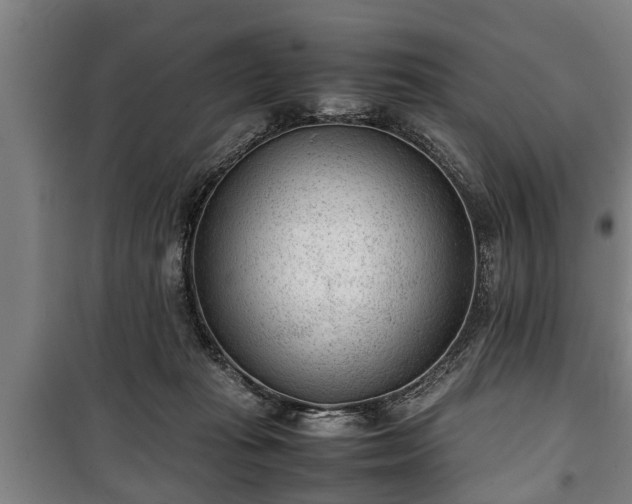 X0000100190269200806061305