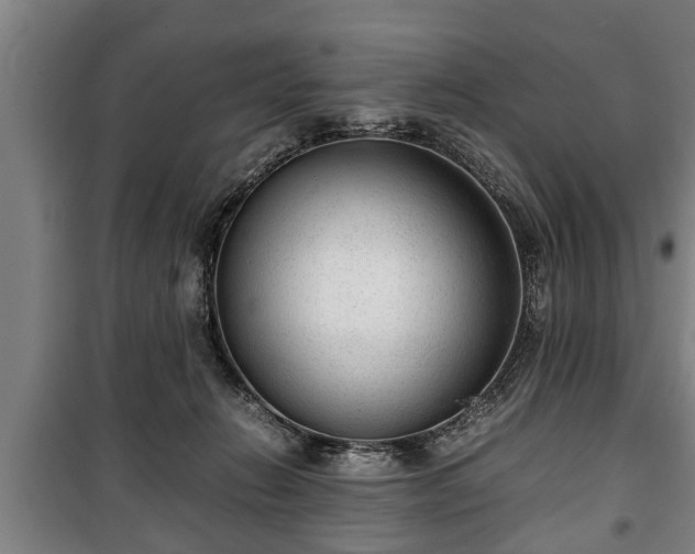 X0000100190270200806061305