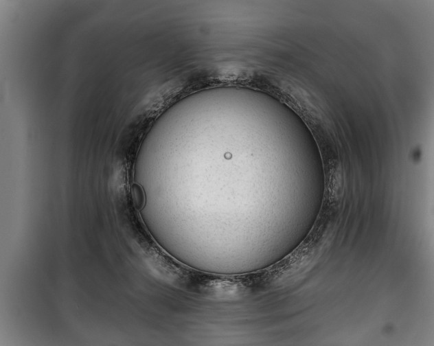 X0000100190272200806061305