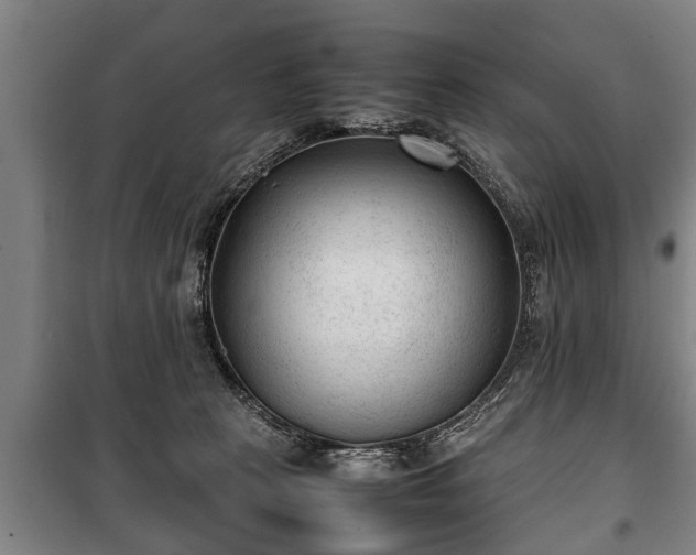 X0000100190273200806061305