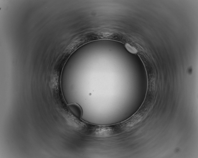 X0000100190274200806061305