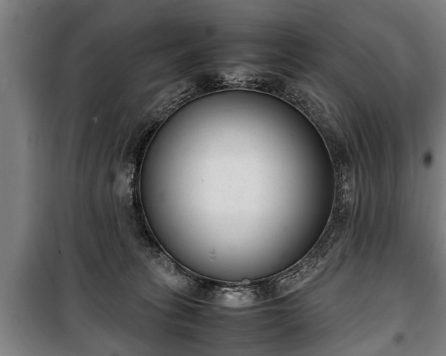 X0000100190275200806061305