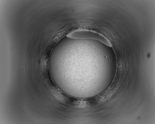 X0000100190276200806061305