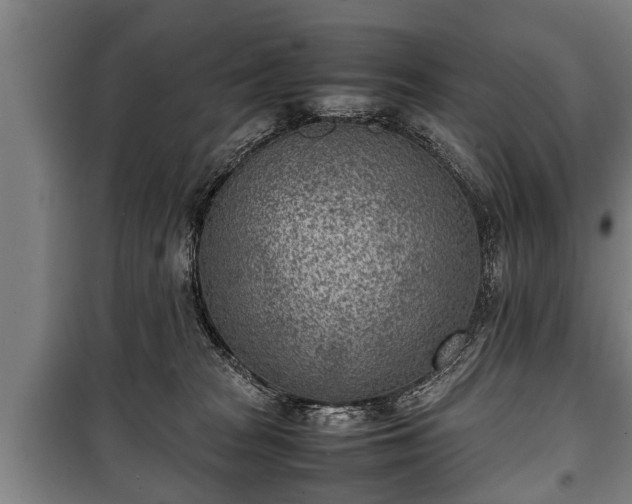 X0000100190277200806061306