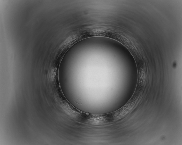 X0000100190278200806061306