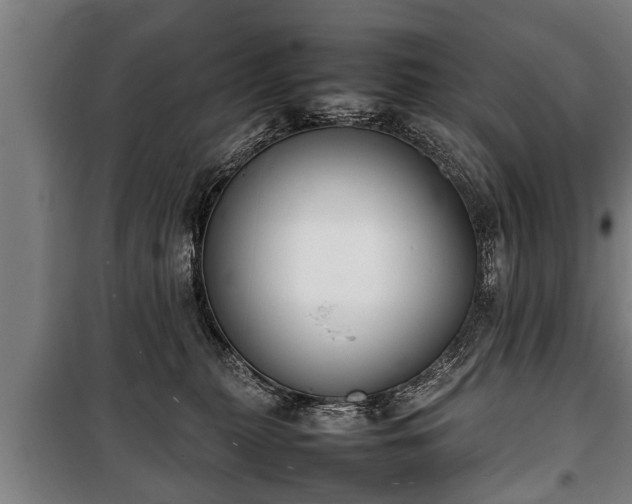 X0000100190279200806061306