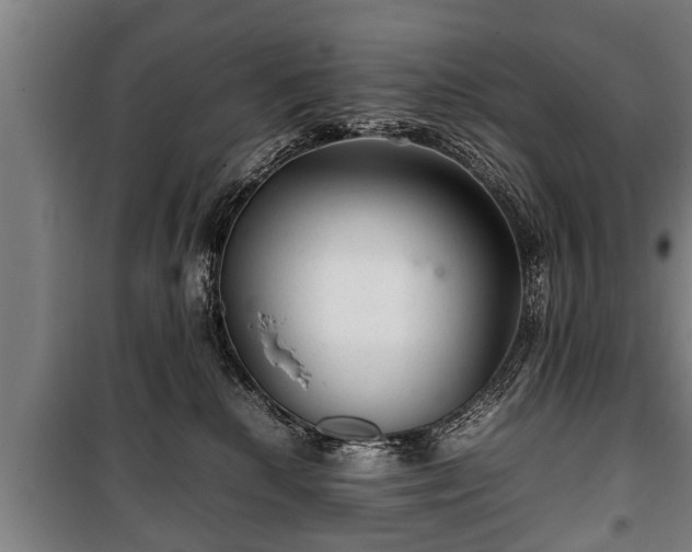 X0000100190280200806061306