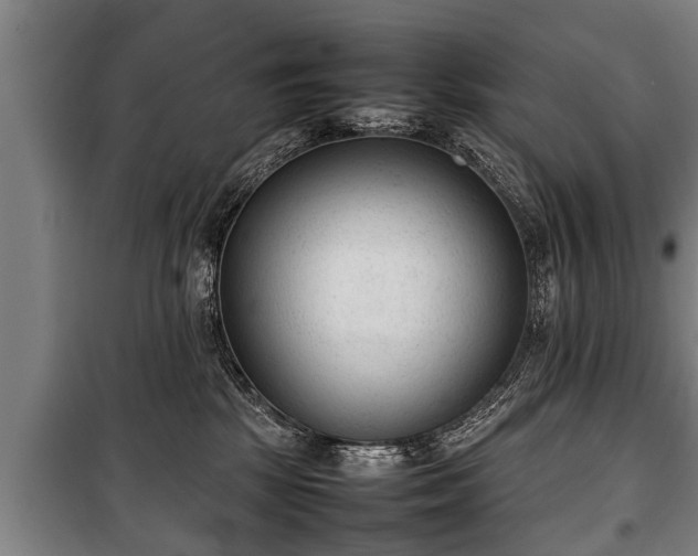 X0000100190281200806061306