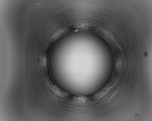 X0000100190282200806061306