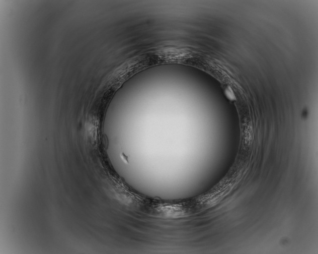 X0000100190283200806061306