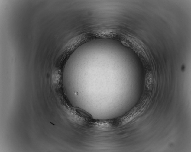 X0000100190284200806061306