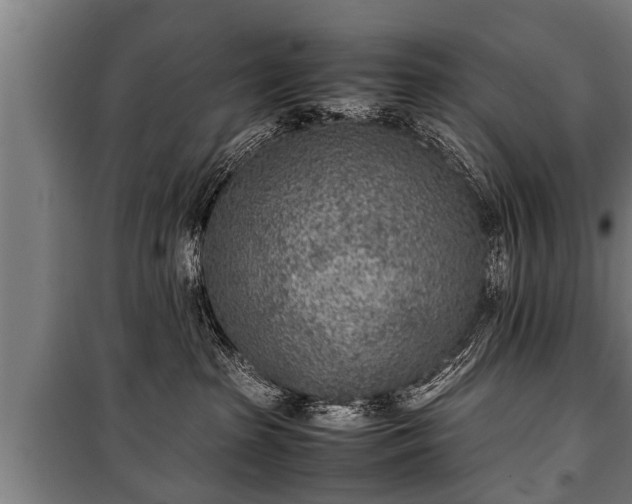 X0000100190285200806061306