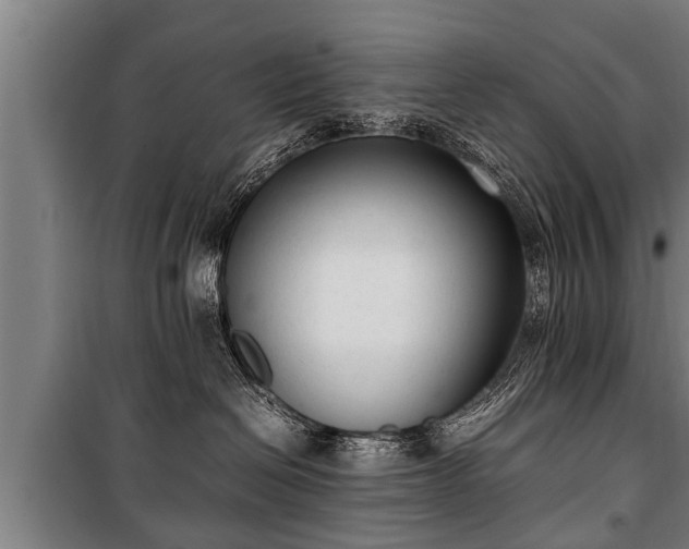 X0000100190286200806061306