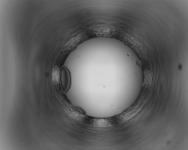 X0000100190287200806061306