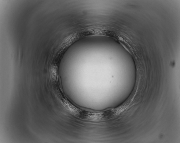 X0000100190288200806061306