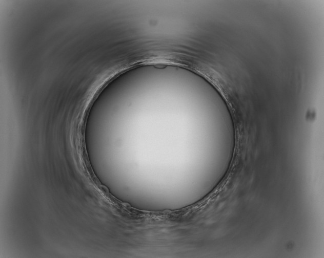 X0000100190289200806061305