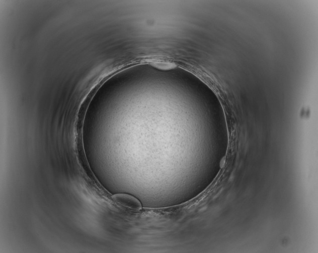 X0000100190290200806061305