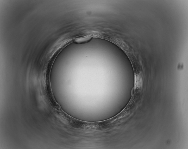 X0000100190291200806061305