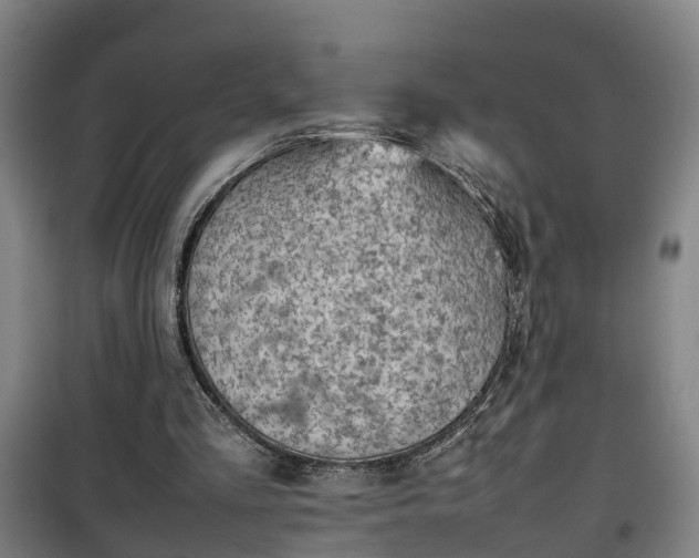 X0000100190293200806061305