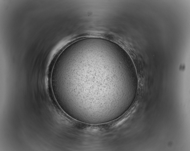 X0000100190294200806061305