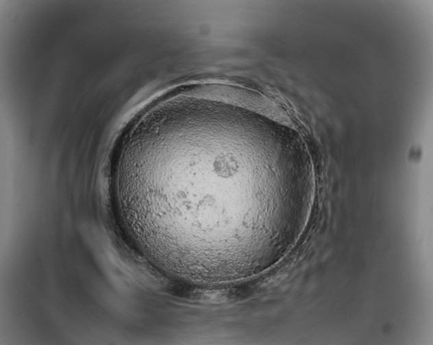 X0000100190295200806061305