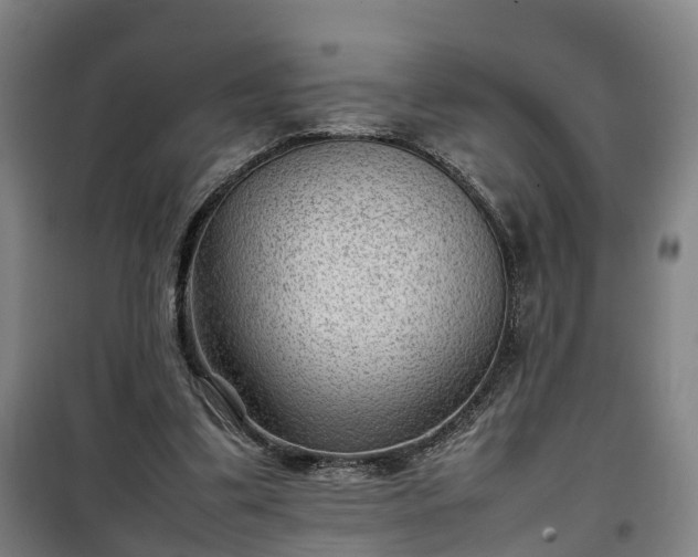 X0000100190299200806061305