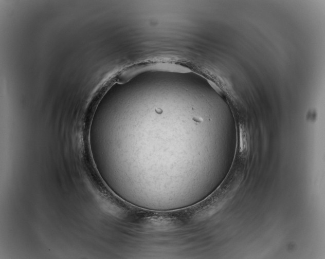 X0000100190300200806061305