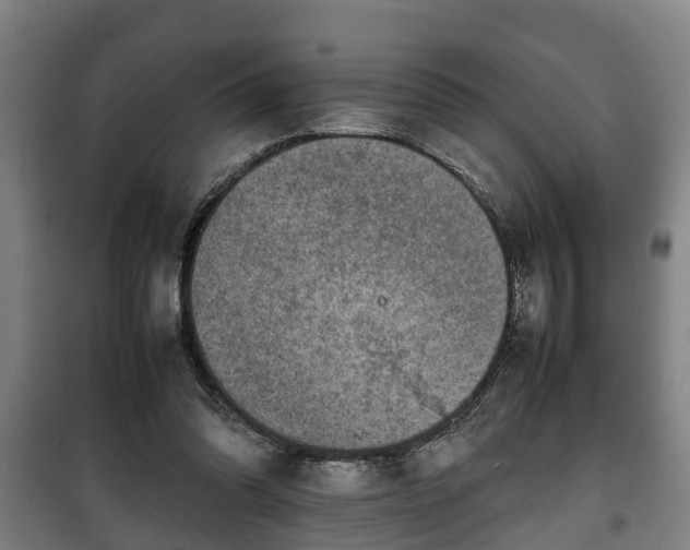 X0000100190302200806061305