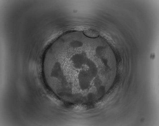 X0000100190303200806061305