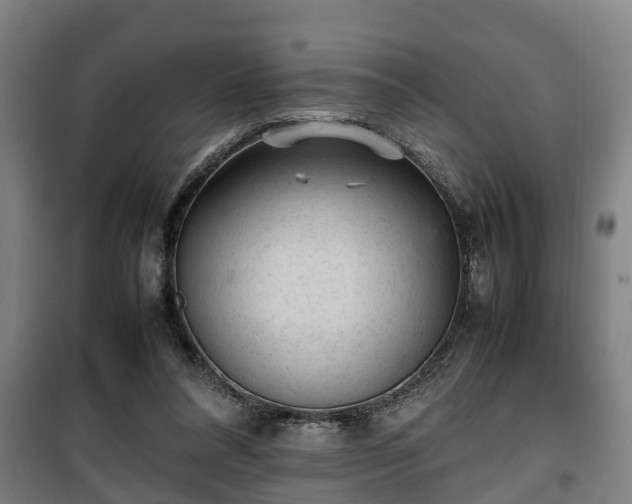 X0000100190304200806061305