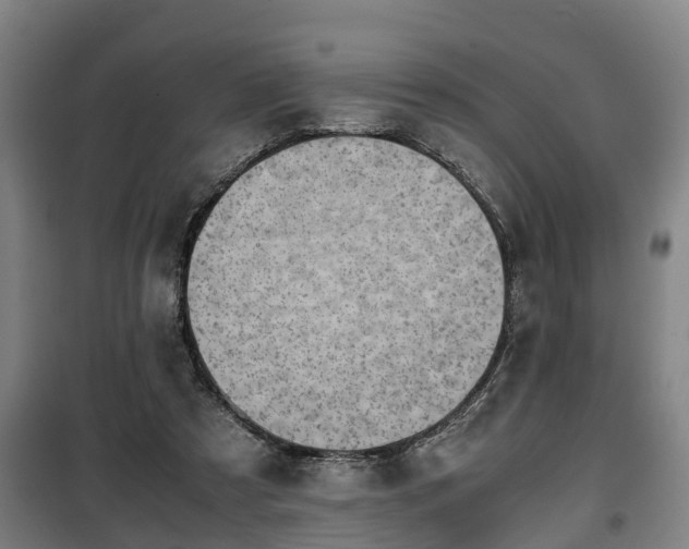 X0000100190305200806061305