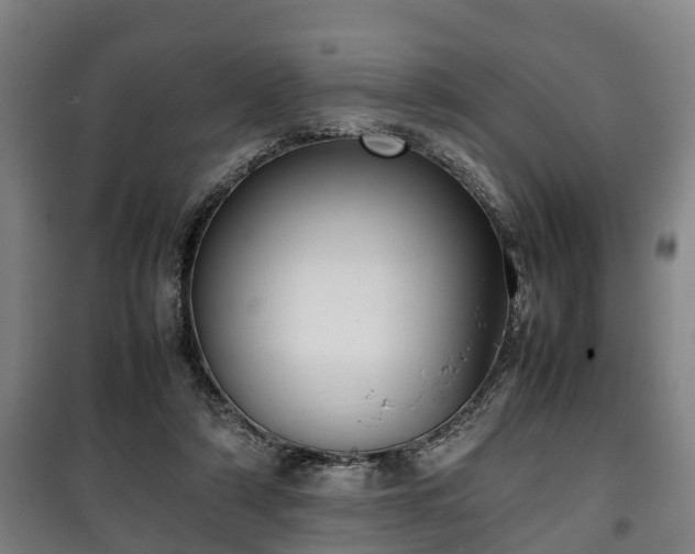 X0000100190306200806061305