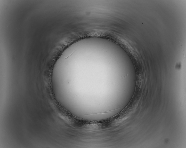 X0000100190307200806061305