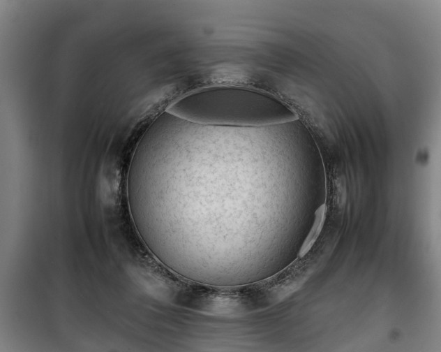 X0000100190308200806061305