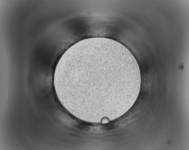 X0000100190309200806061305