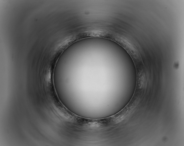 X0000100190310200806061305