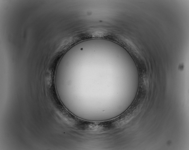 X0000100190311200806061305