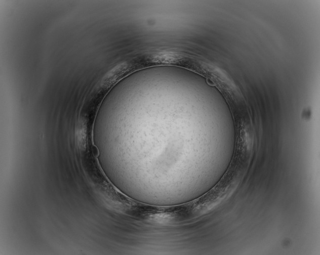 X0000100190312200806061305