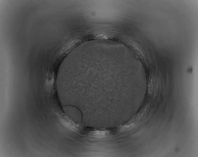 X0000100190314200806061305