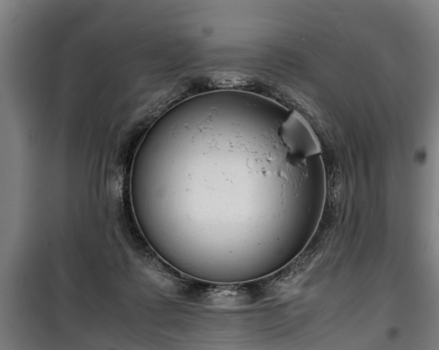 X0000100190315200806061305