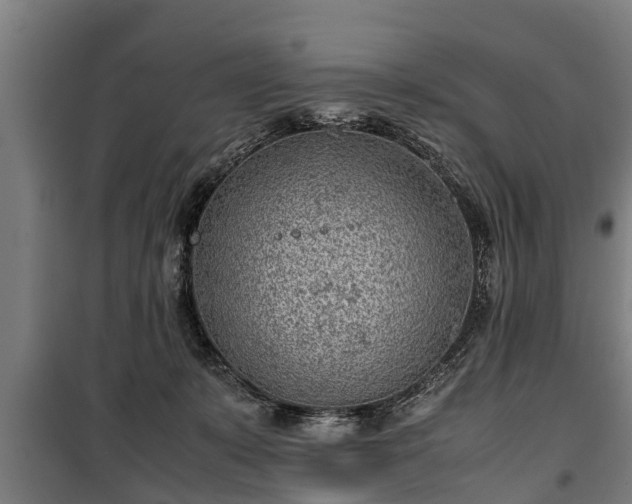 X0000100190319200806061304