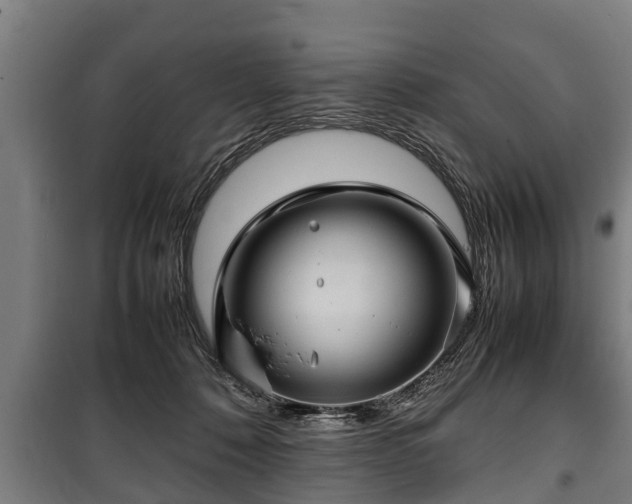 X0000100190320200806061304